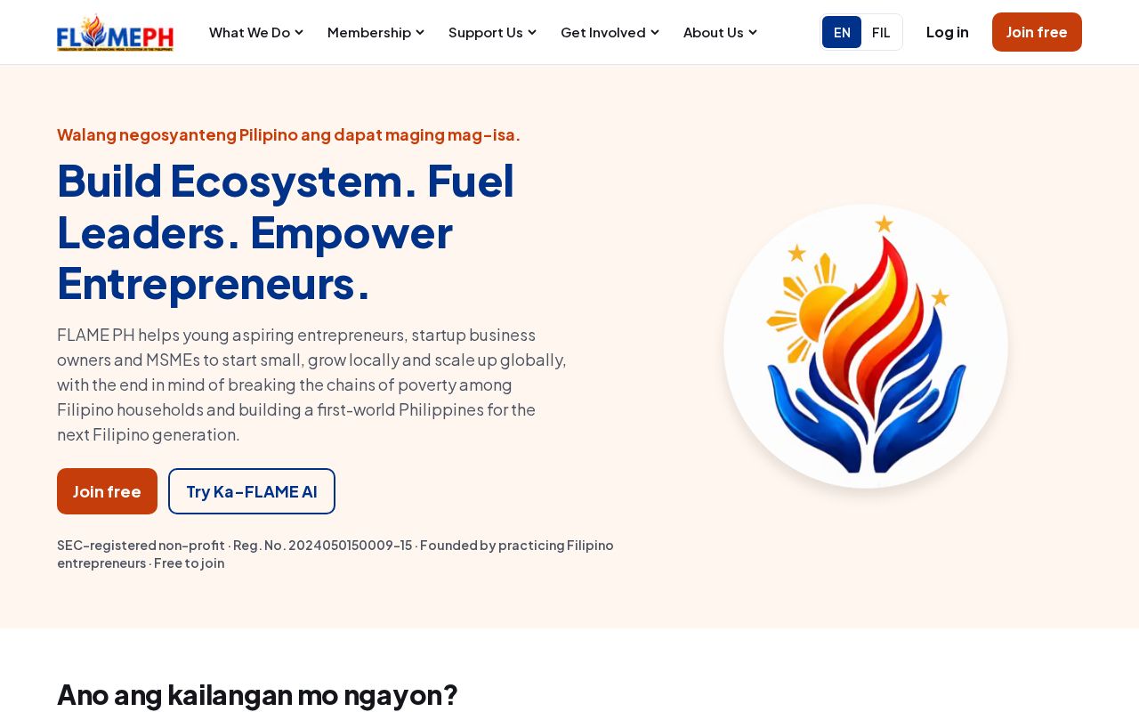 Preview of FLAME PH