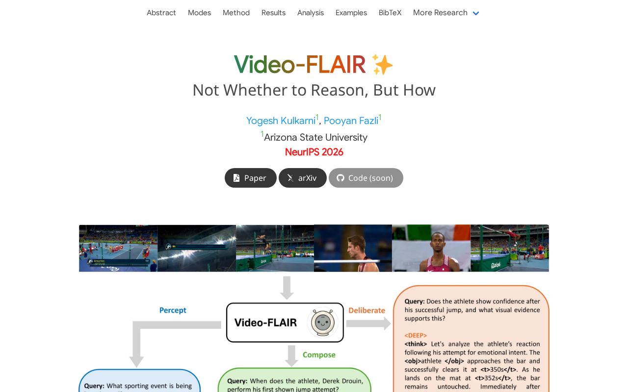 Preview of Video FLAIR