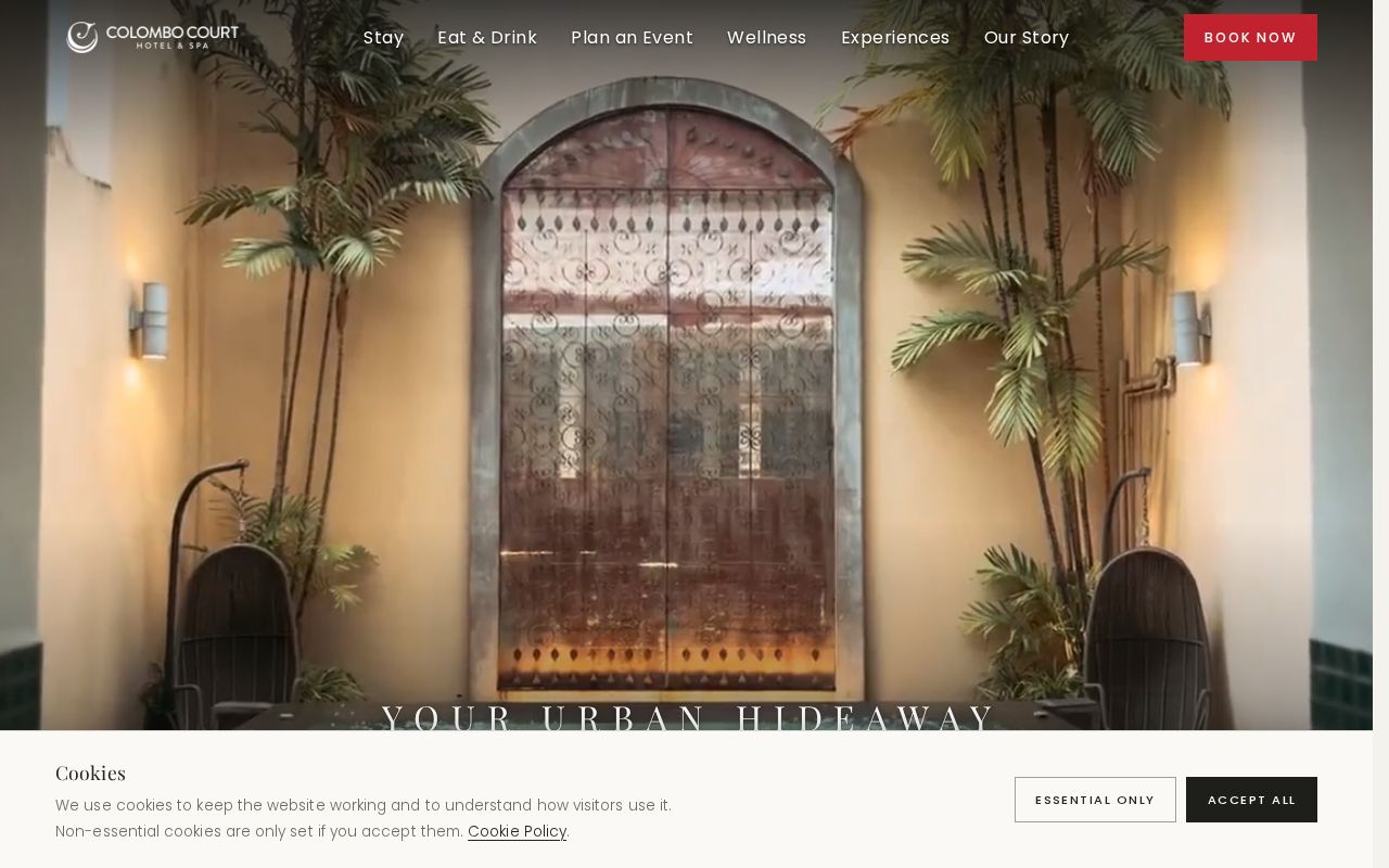 Preview of Web