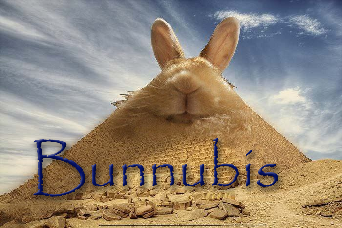 Preview of Bunnubis