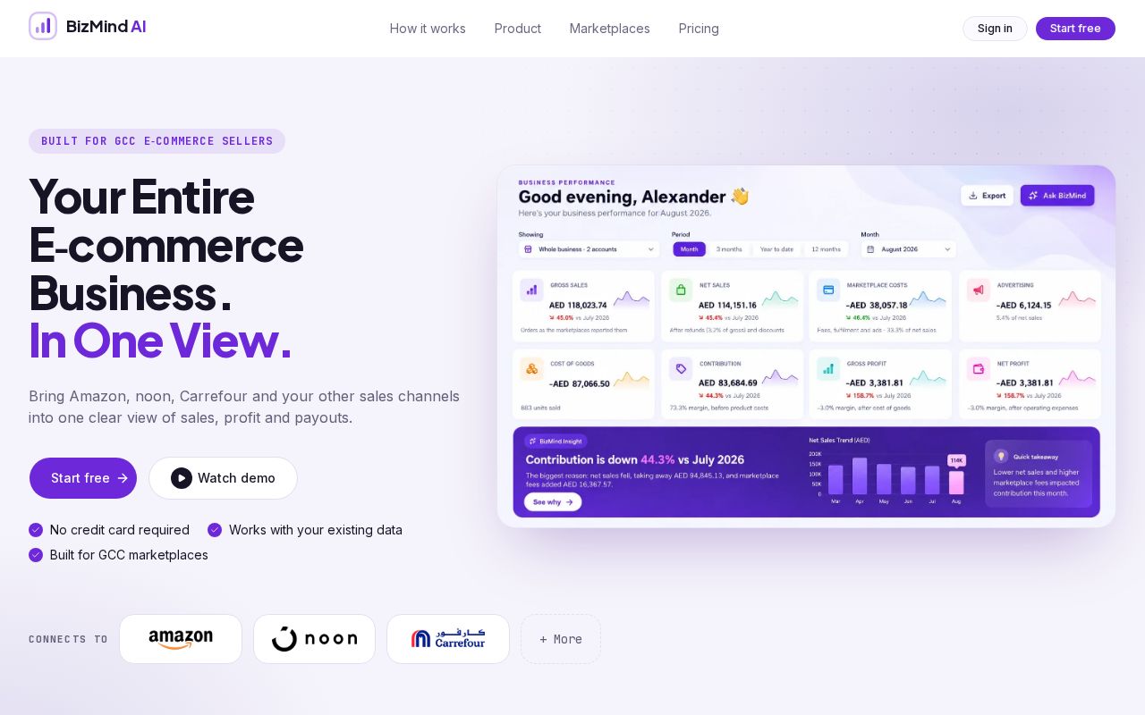 Preview of Bizmind Ai
