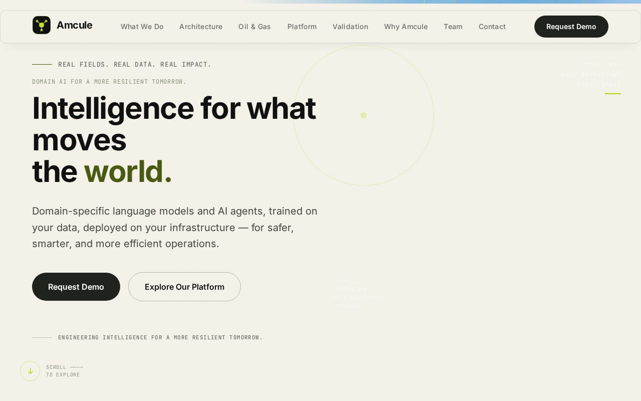 Preview of Amcule Website