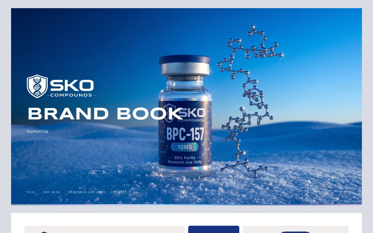 Preview of Sko Brandbook