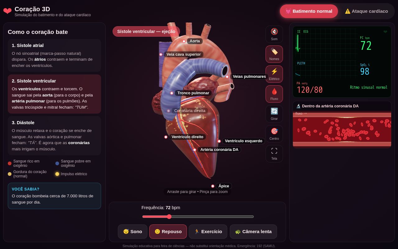 Preview of Simuacaodecoracao