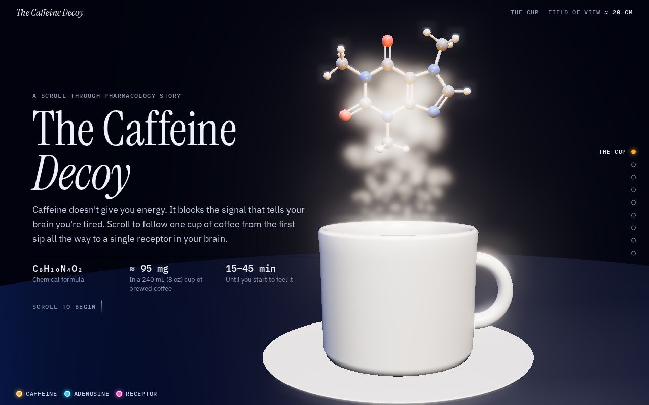 Preview of The Caffeine Decoy