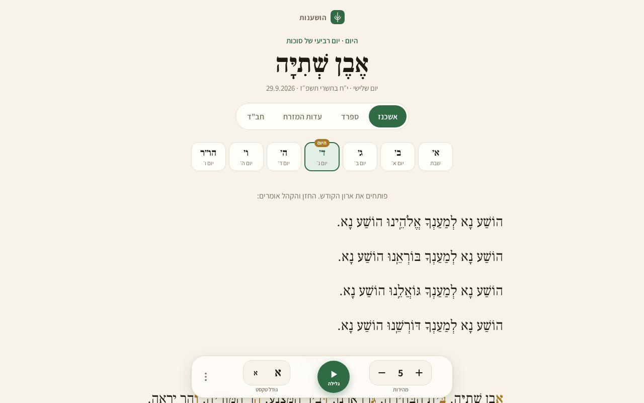Preview of Hoshanot