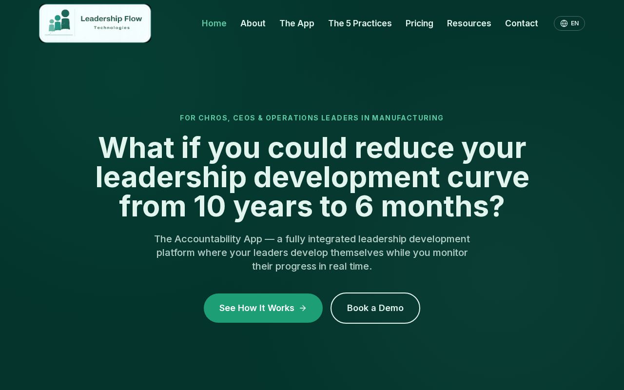 Preview of Leadership Flow Technologies Website