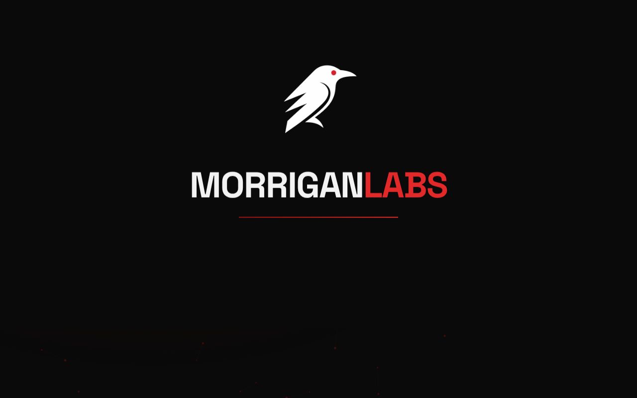 Preview of Morrigan Builds