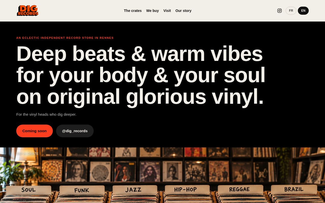 Preview of DIG RECORDS, disquaire à Rennes: the shop's website