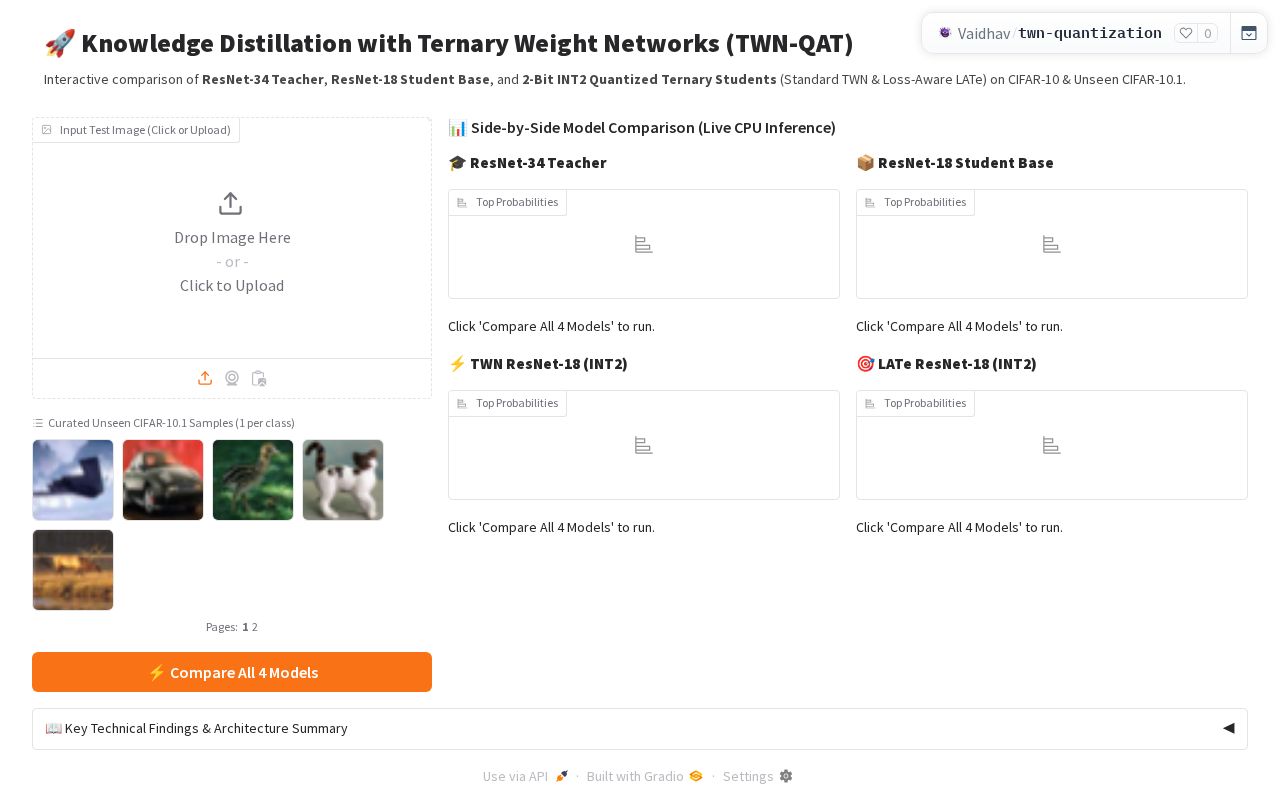 Preview of TWN Quantization Demo