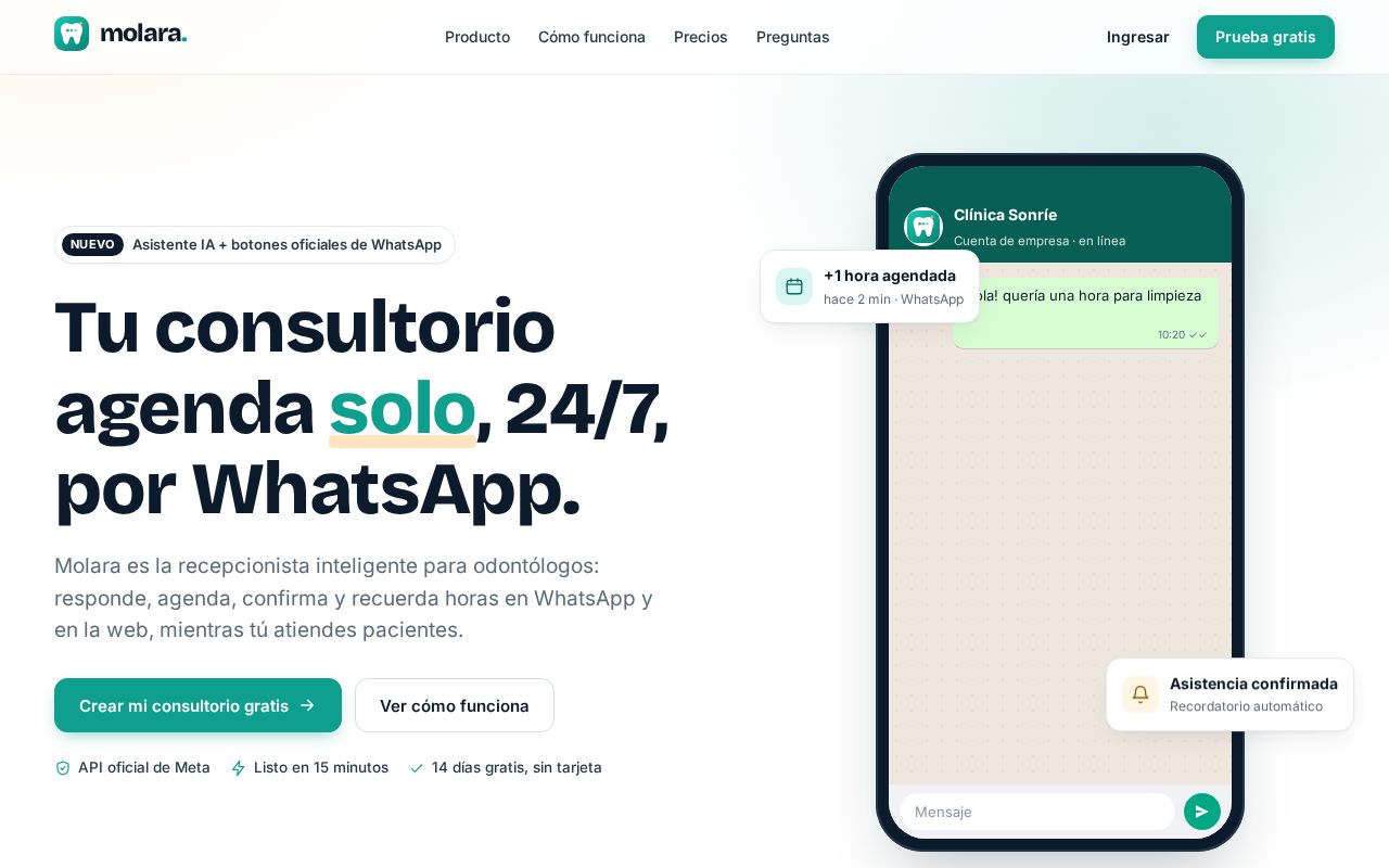 Preview of Molara Proyect