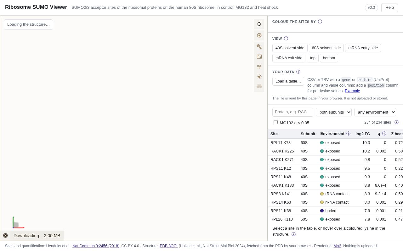 Preview of Ribosome Sumo Viewer