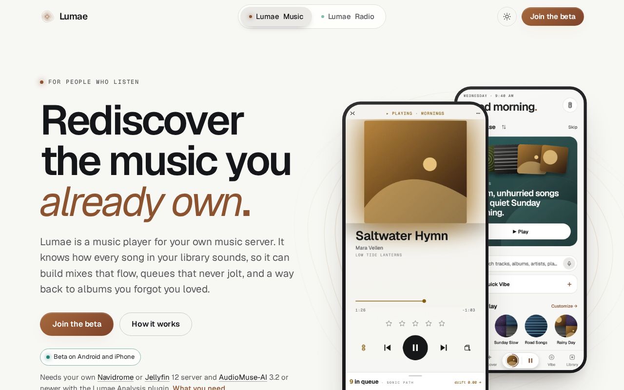 Preview of Lumae Radio Home Assistant