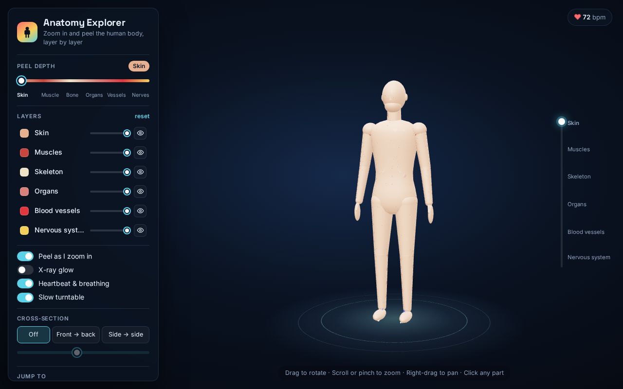 Preview of Anatomy Explorer