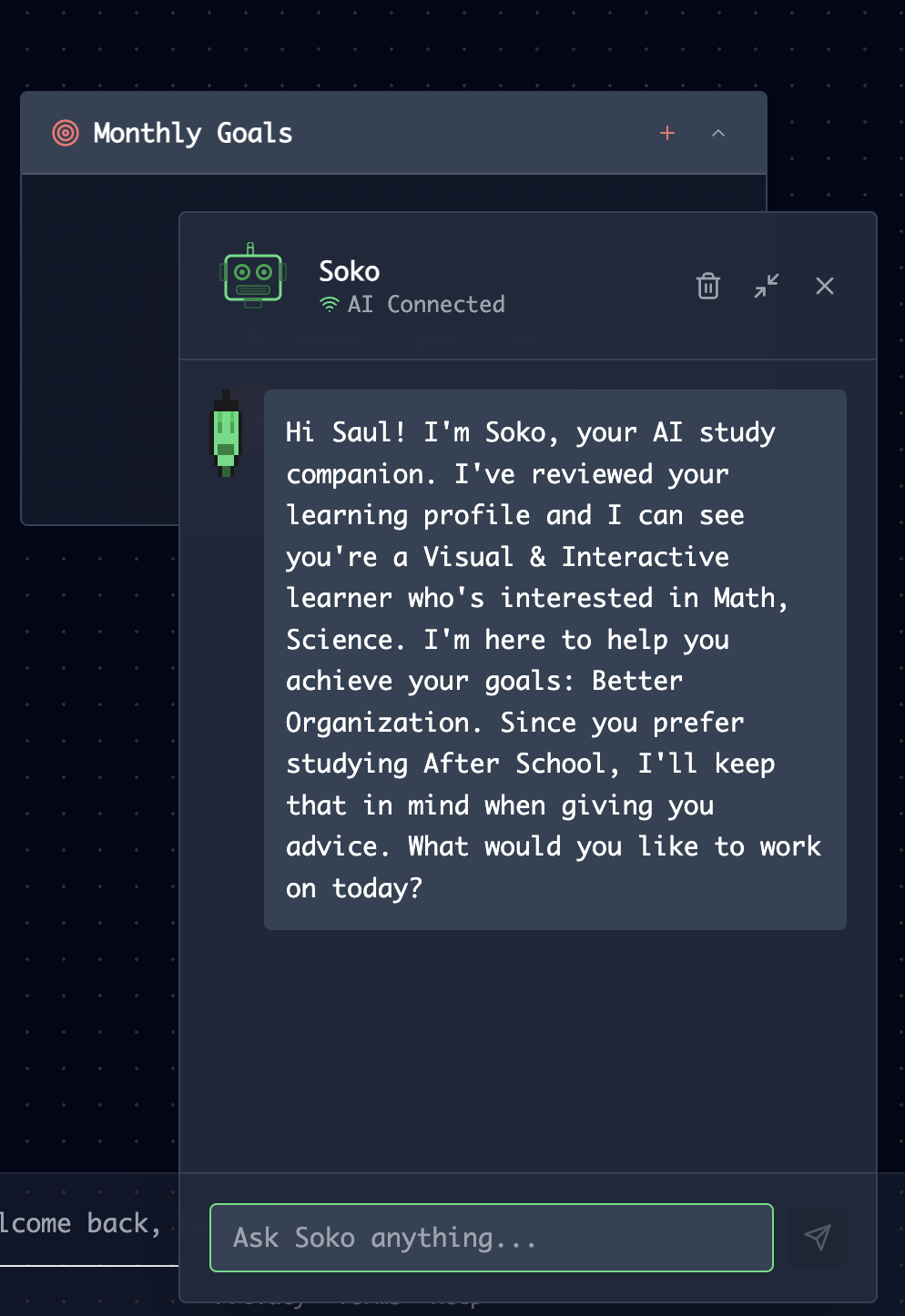 Preview of AfterSchool AI Systems