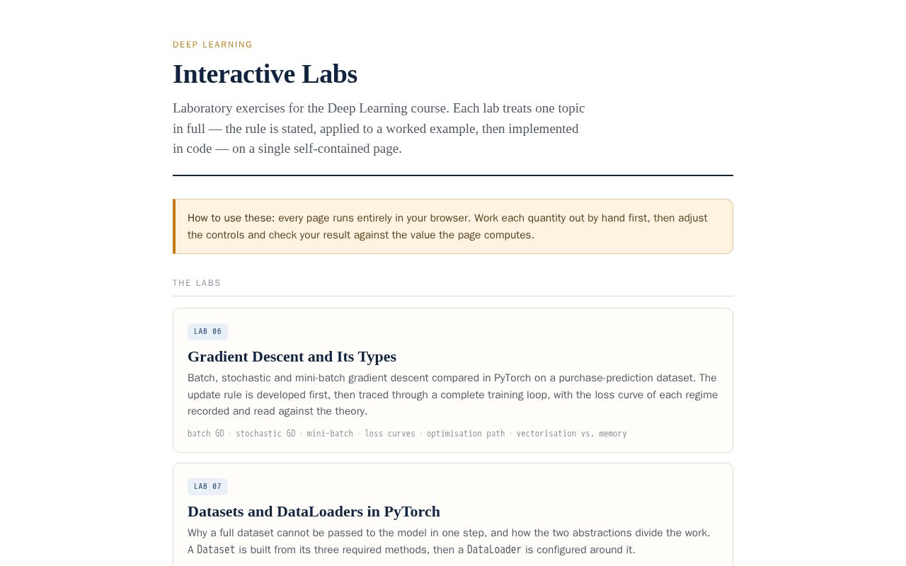 Preview of Deep Learning 2026: Laboratory Materials
