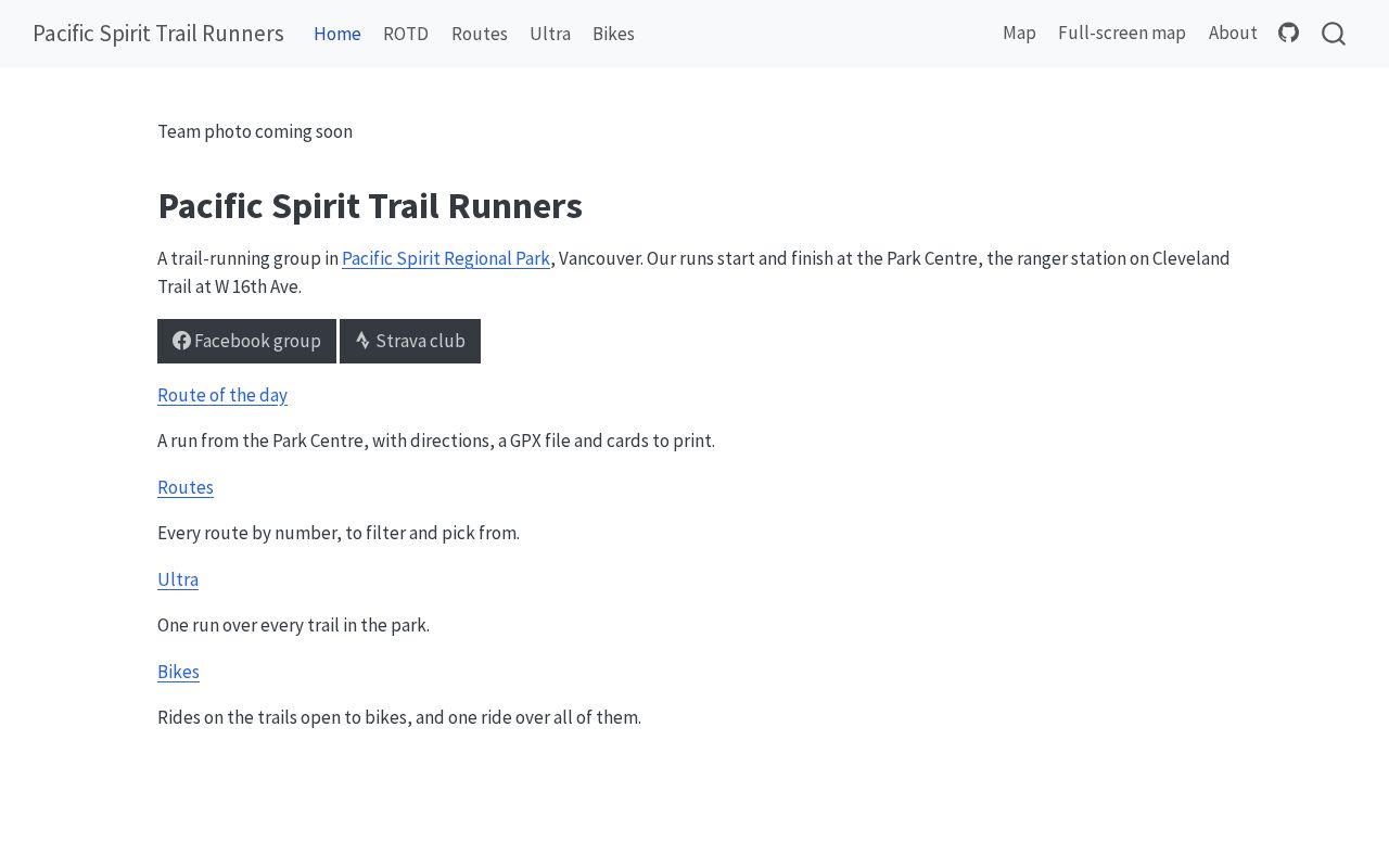 Preview of Pstrunners Github Io