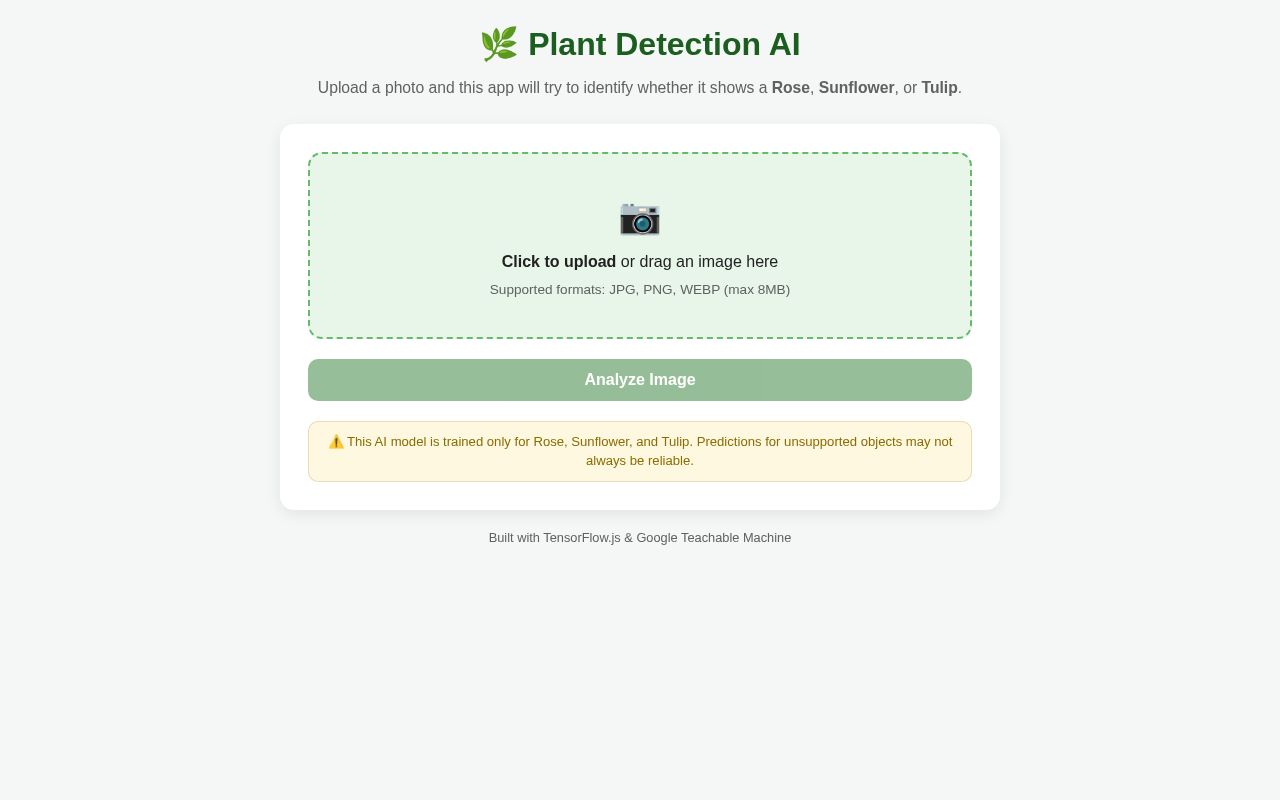 Preview of Plant Detection AI