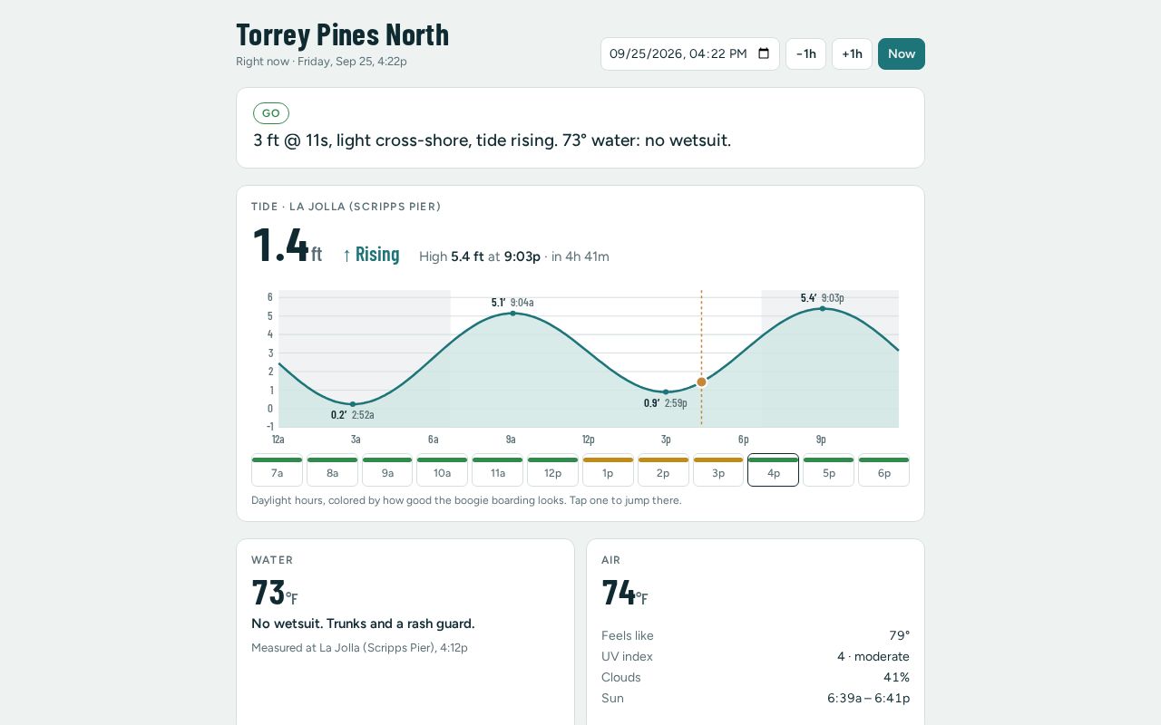 Preview of Torrey Boogie Check