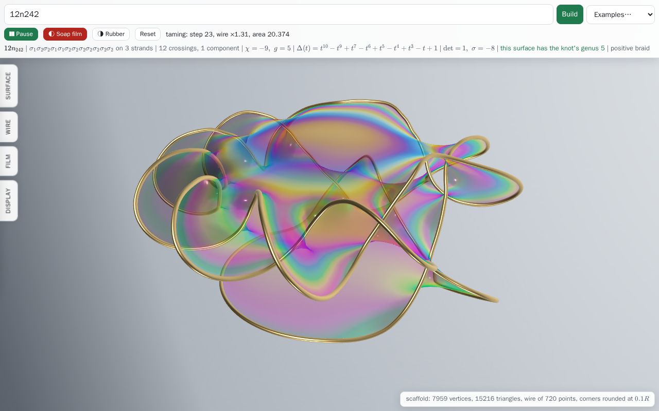 Preview of SeifertSurface