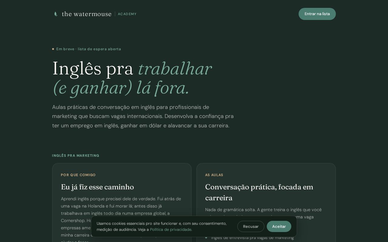 Preview of Inglês para vagas remotas internacionais