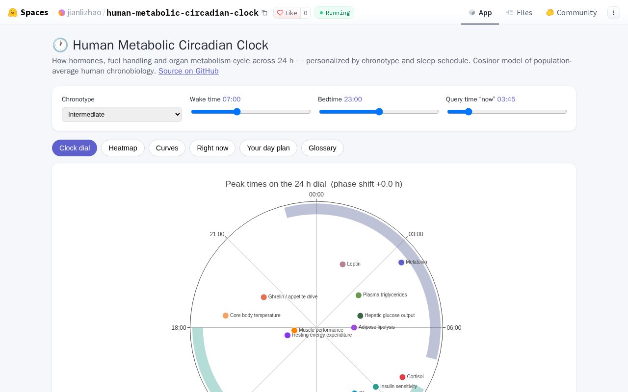 Preview of Interactive 24h clock of human metabolic circadian rhythms (Gradio app)