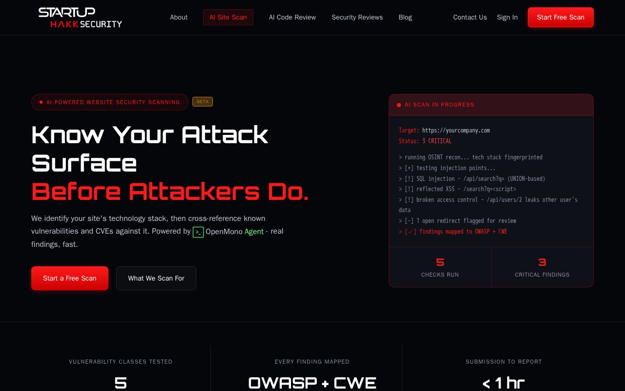 Preview of AI Site Scan