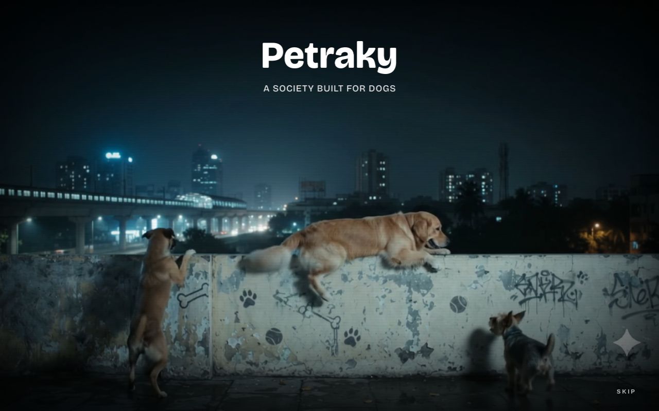 Preview of Petraky