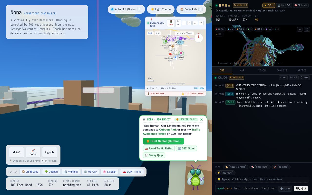 Preview of Fly Code