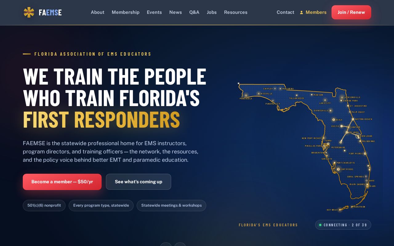 Preview of Faemse Website