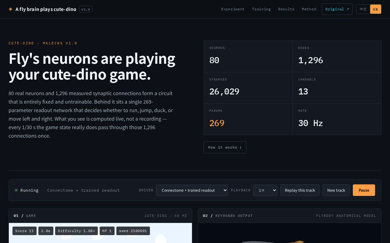 Preview of Cutedino Fly Connectome