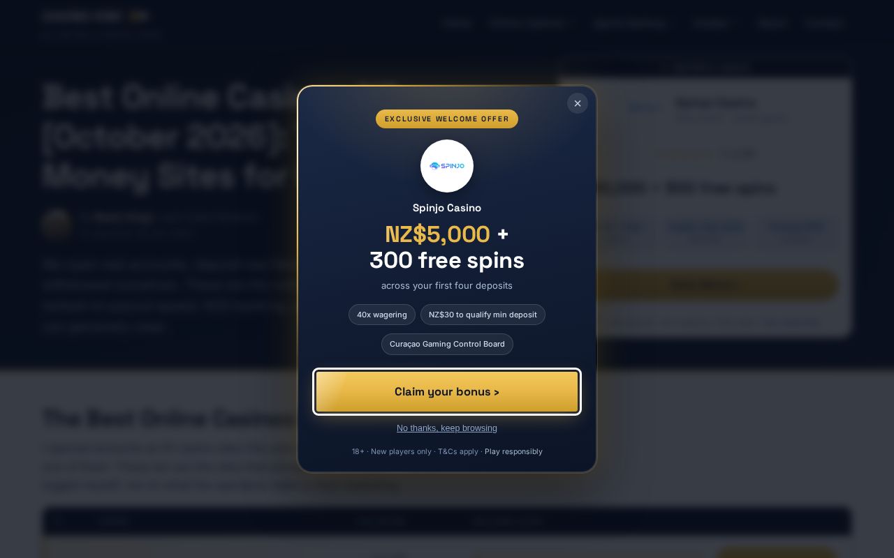 Preview of Surefiremarketing Co Nz
