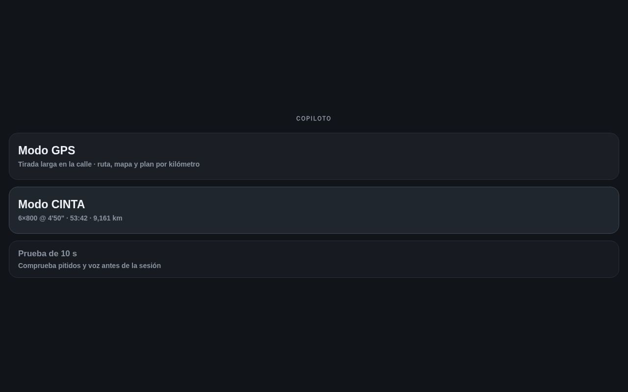 Preview of Copiloto