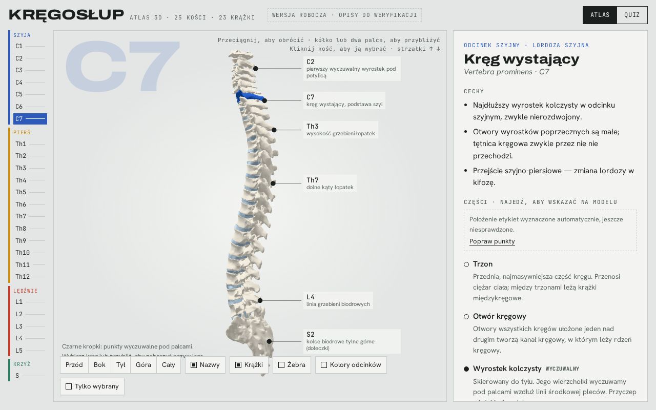 Preview of Anatomia