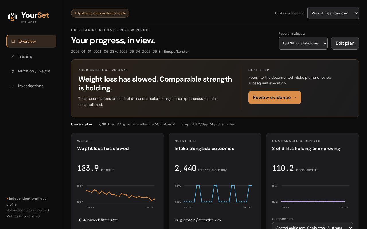 Preview of Yourset Insights Demo