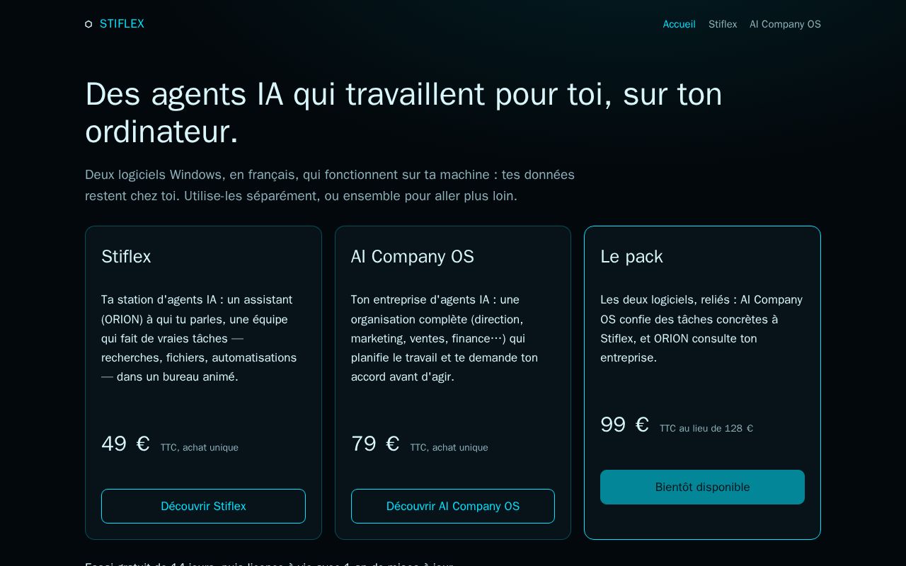 Preview of Stiflex et AI Company OS