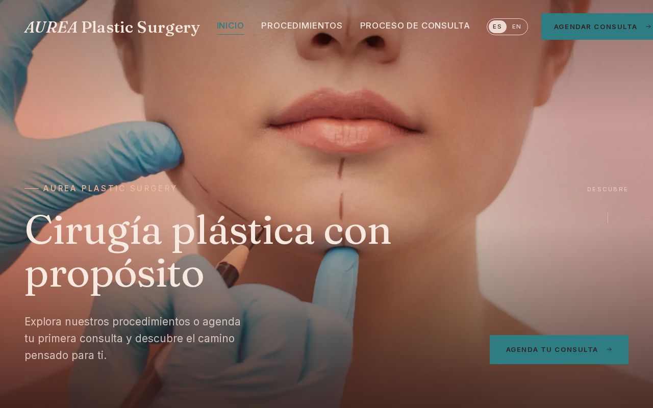 Preview of Aurea Plastic Surgery Demo