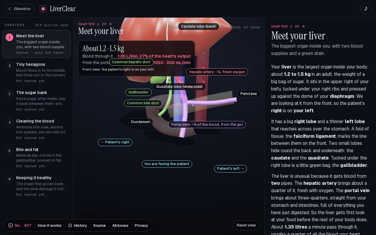 Preview of LiverClear: How does the liver work?