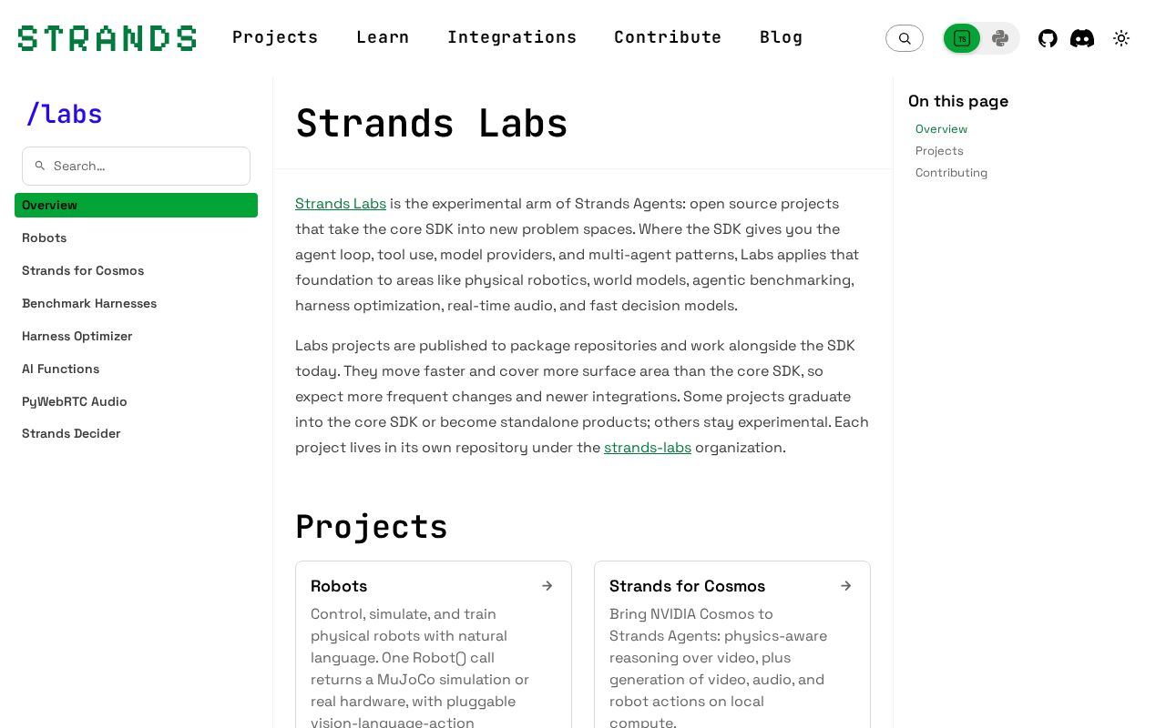 Preview of Strands Decider