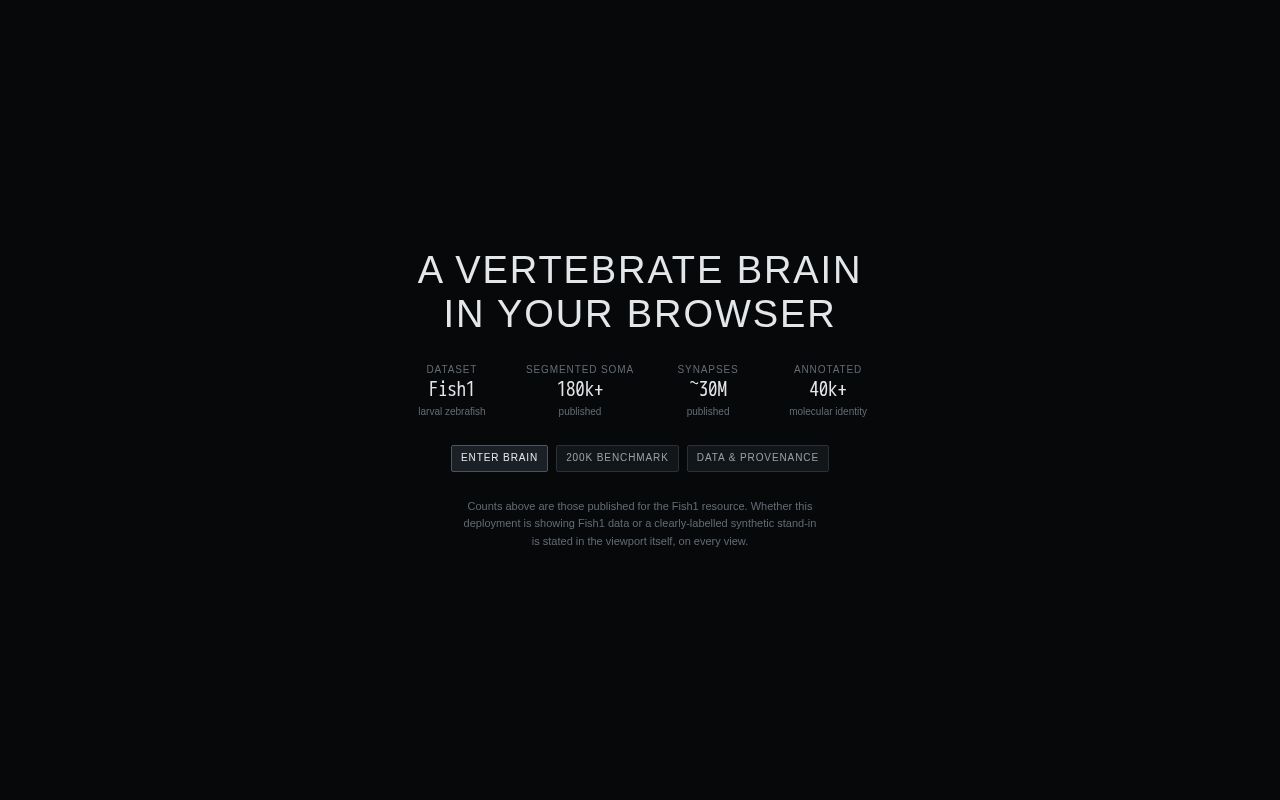 Preview of Zebrafishconnectome