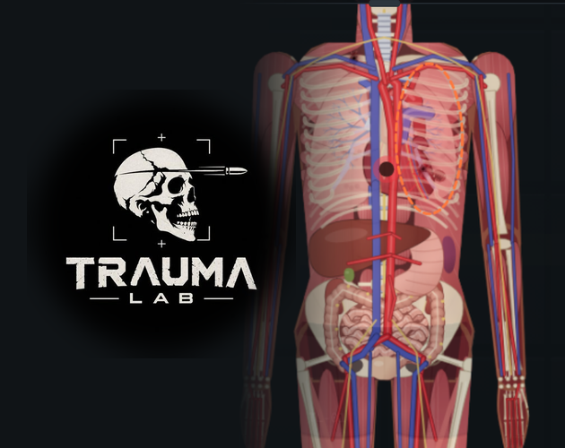 Preview of Trauma lab