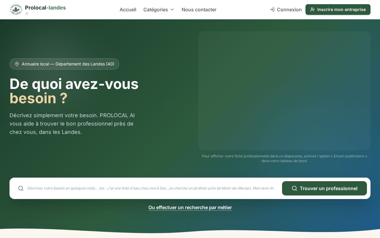 Preview of Prolocal Ai