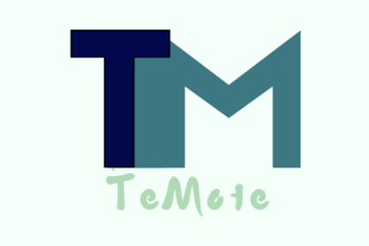 Preview of Temote.online