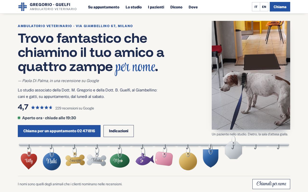 Preview of Veterinari Gregorio Guelfi