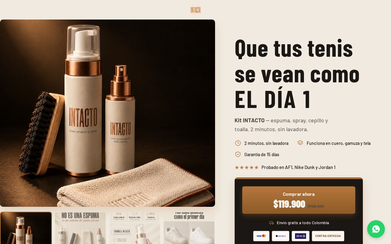 Preview of Intacto Landing