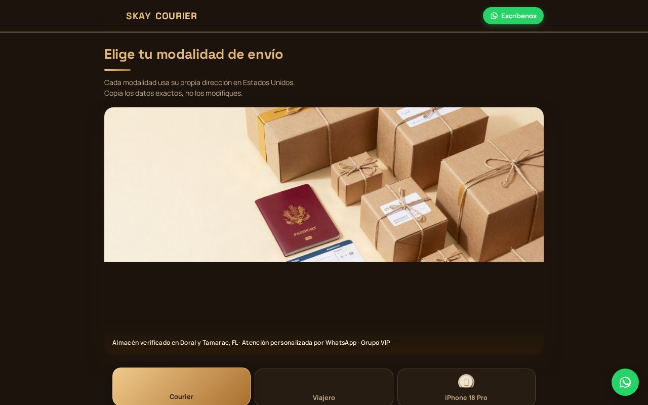 Preview of Skay Pagina Guia Courier