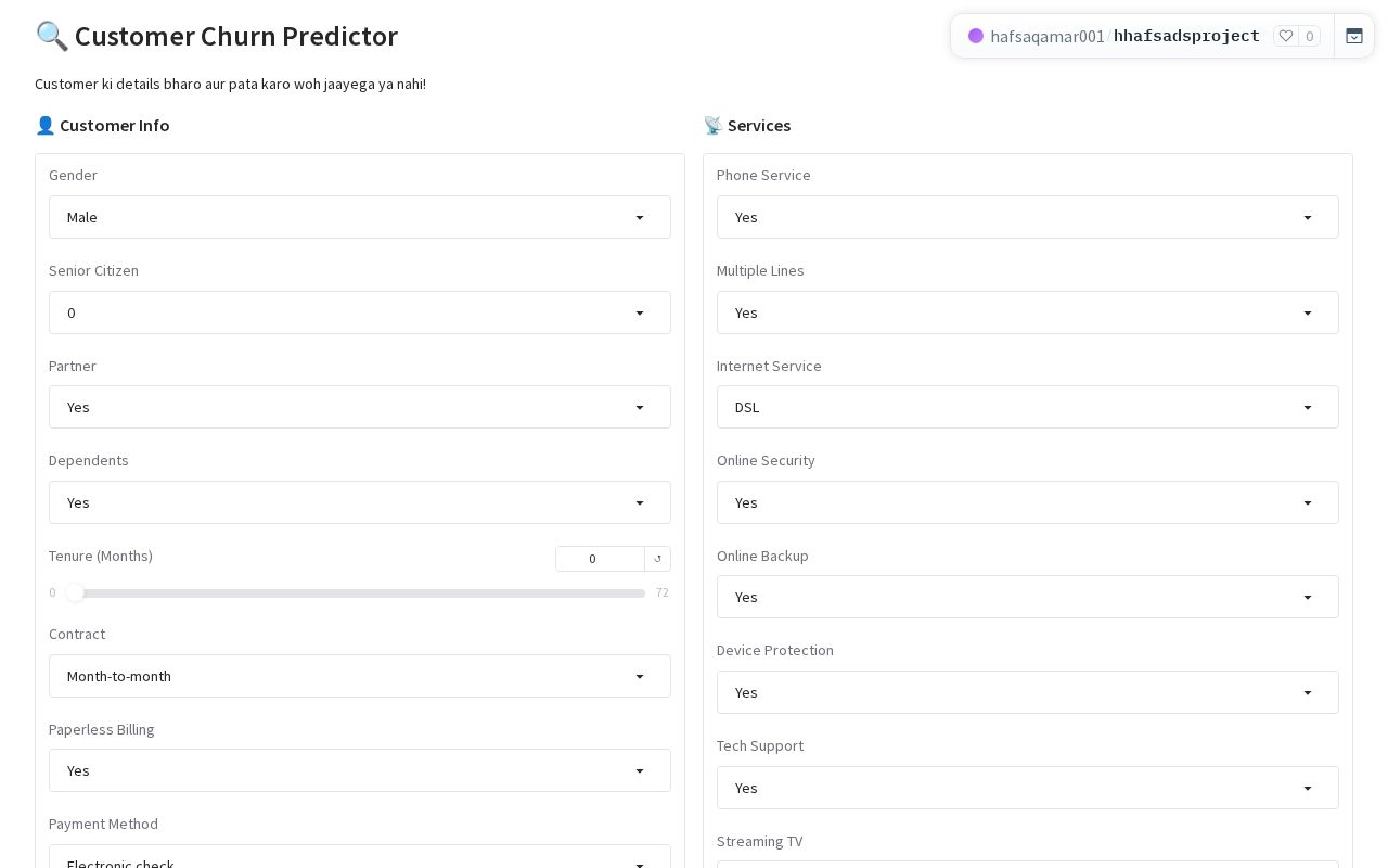 Preview of Customer Churn Predictor