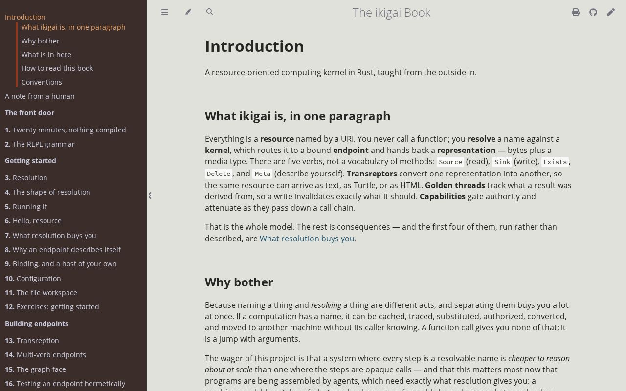 Preview of Ikigai Tutorial