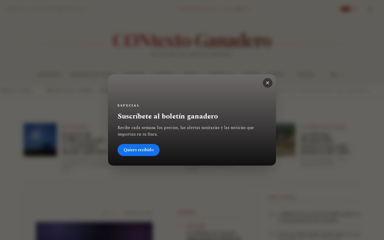 Preview of Contexto