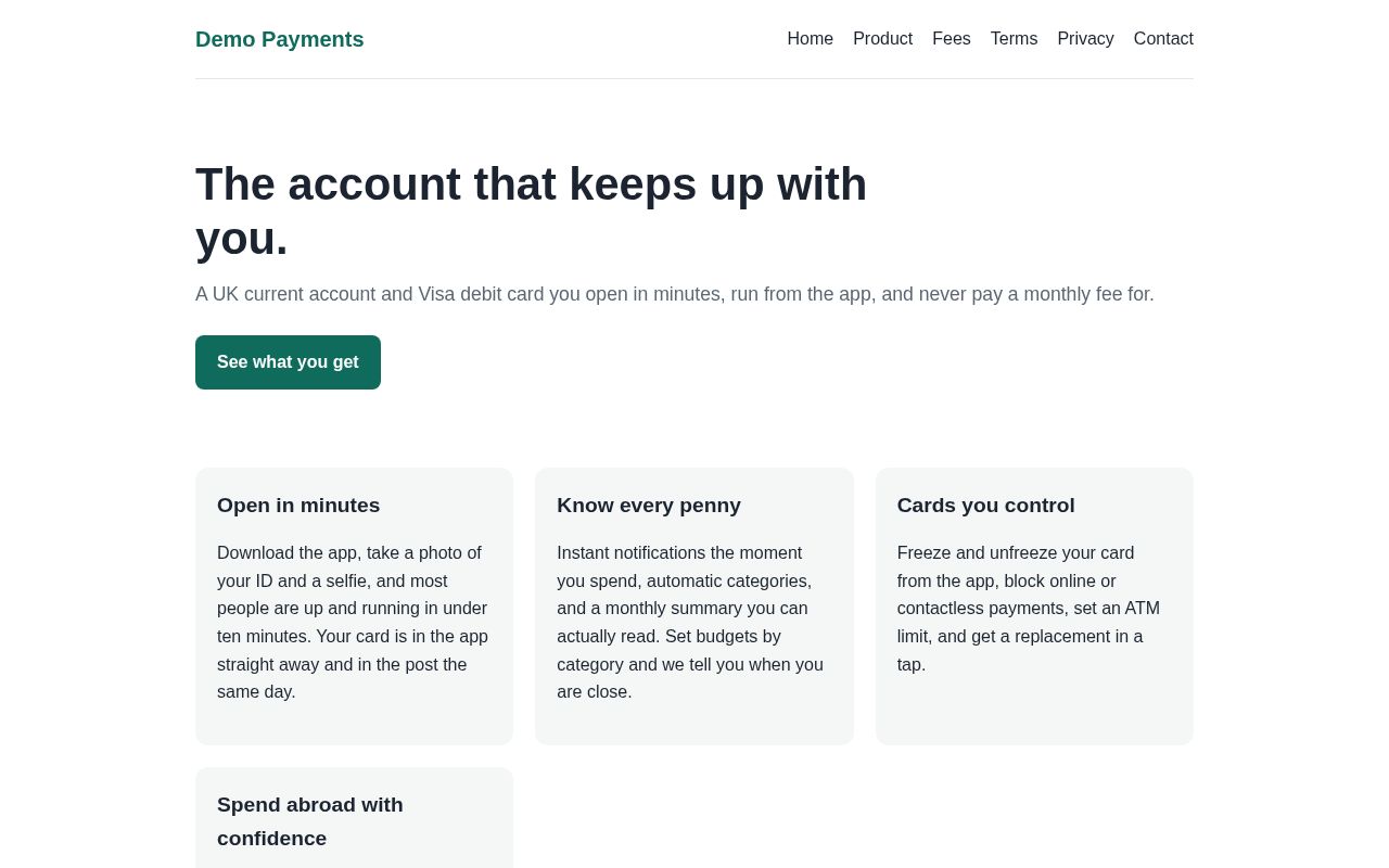 Preview of Demo Payments